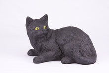 Black Coat Shorthair Cat Figurine Pet Urn