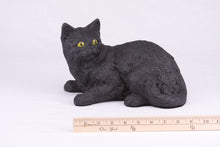 Black Coat Shorthair Cat Figurine Pet Urn