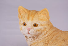 Cream & Light Orange Coat Shorthair Cat Figurine Pet Urn