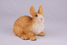Brown Rabbit Resin Figurine Pet Urn