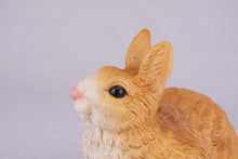 Brown Rabbit Resin Figurine Pet Urn
