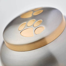 Pewter Two Bronze Paw Print Medium Pet Cremation Urn - Artistic