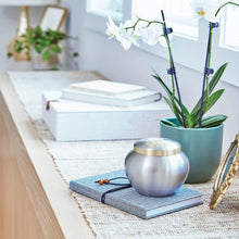 Pewter Two Bronze Paw Print Large Pet Cremation Urn - Lifestyle