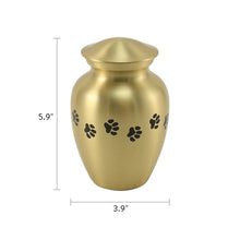 Classic Brass Paw Print Band Pet Medium Cremation Urn - Dimensions