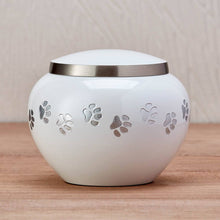 Classic Round Pearl Paw Band Medium Pet Cremation Urn - Lifestyle