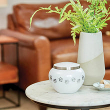 Classic Round Pearl Paw Band Large Pet Cremation Urn - Lifestyle