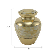 Classic Brass Mother of Pearl Shell Medium Cremation Urn -- Dimensions