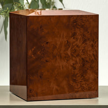 Geometric Amber with Divider Companion Urn - Lifestyle