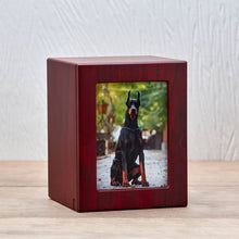 Cherry Photo Frame Large Pet Cremation Urn - Lifestyle