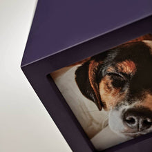 Purple Photo Cube Medium Pet Cremation Urn - Artistic