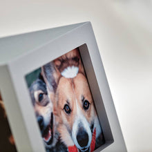 Silver Photo Cube Large Pet Cremation Urn - Artistic
