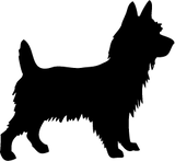 Dogs/Yorkshire Terrier