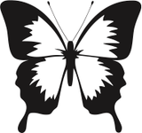 Pets/Butterfly
