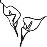 Plants & Flowers/Lily