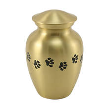 Classic Brass Paw Print Band Pet Medium Cremation Urn